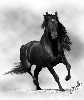andalusian