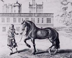 etching