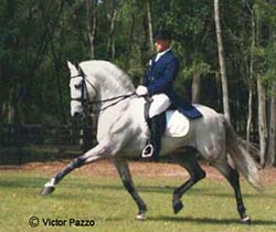vpdressage